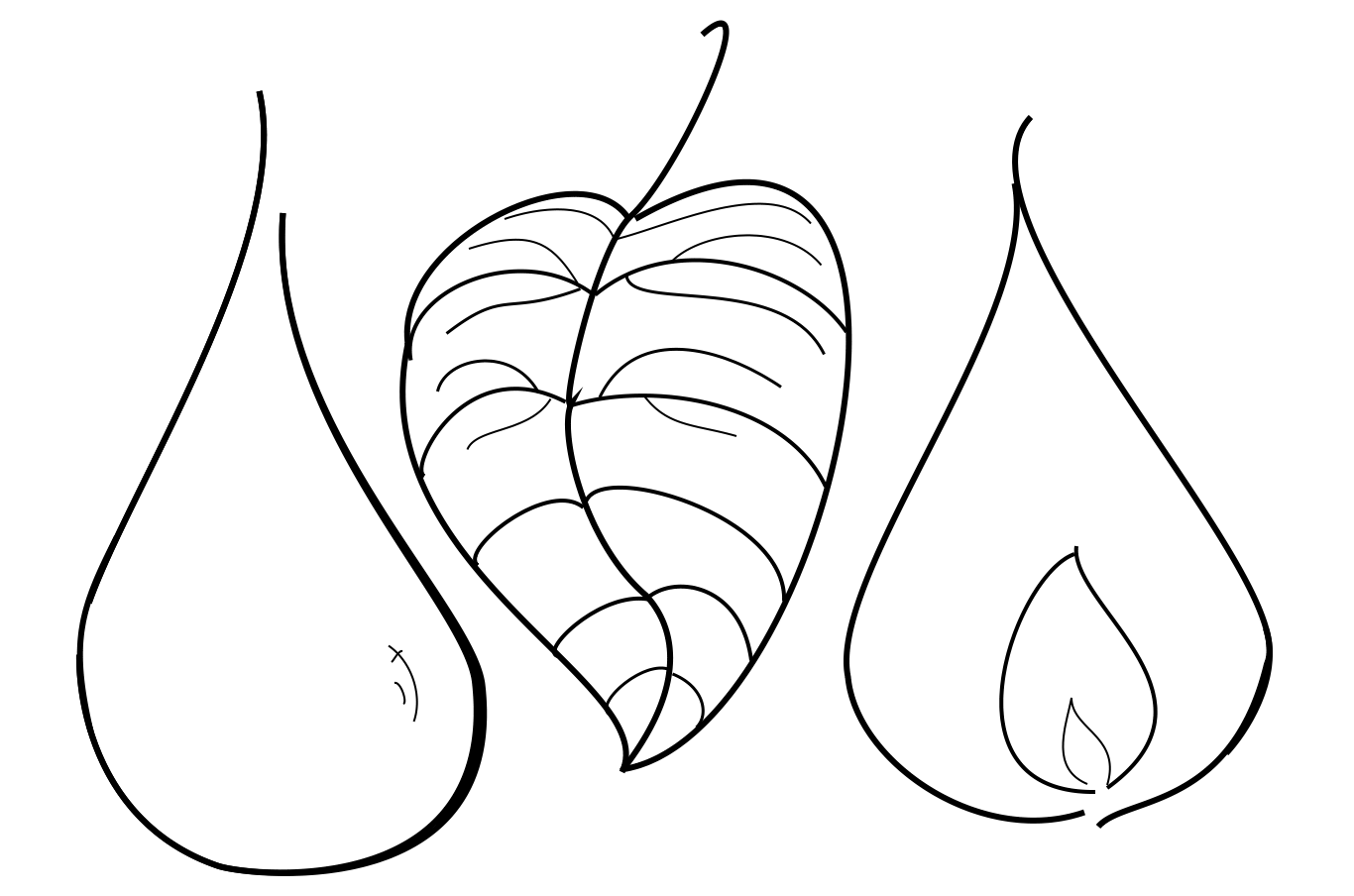 natur